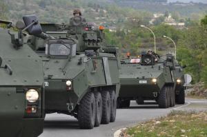Des Chasseurs Ardennais en exercice à Canjuers (photo Fraternelle des Chasseurs Ardennais)